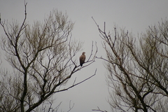 Killikus&reg; Fotographie